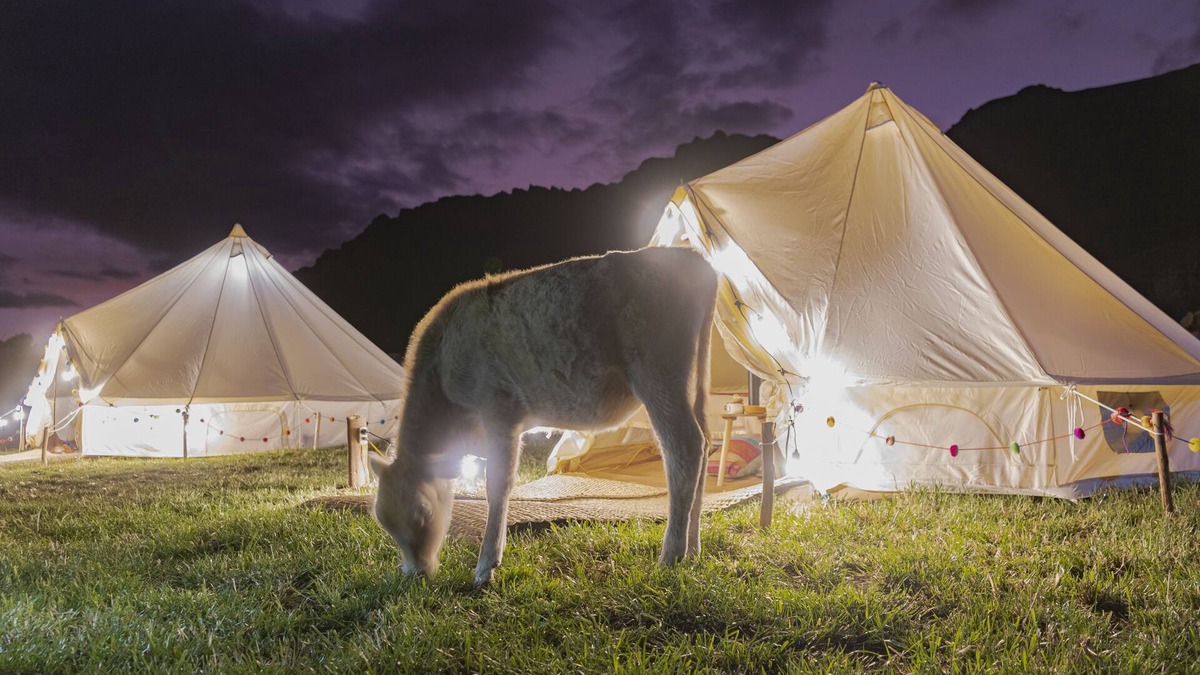 Pisac Cabin | Andean Glamping