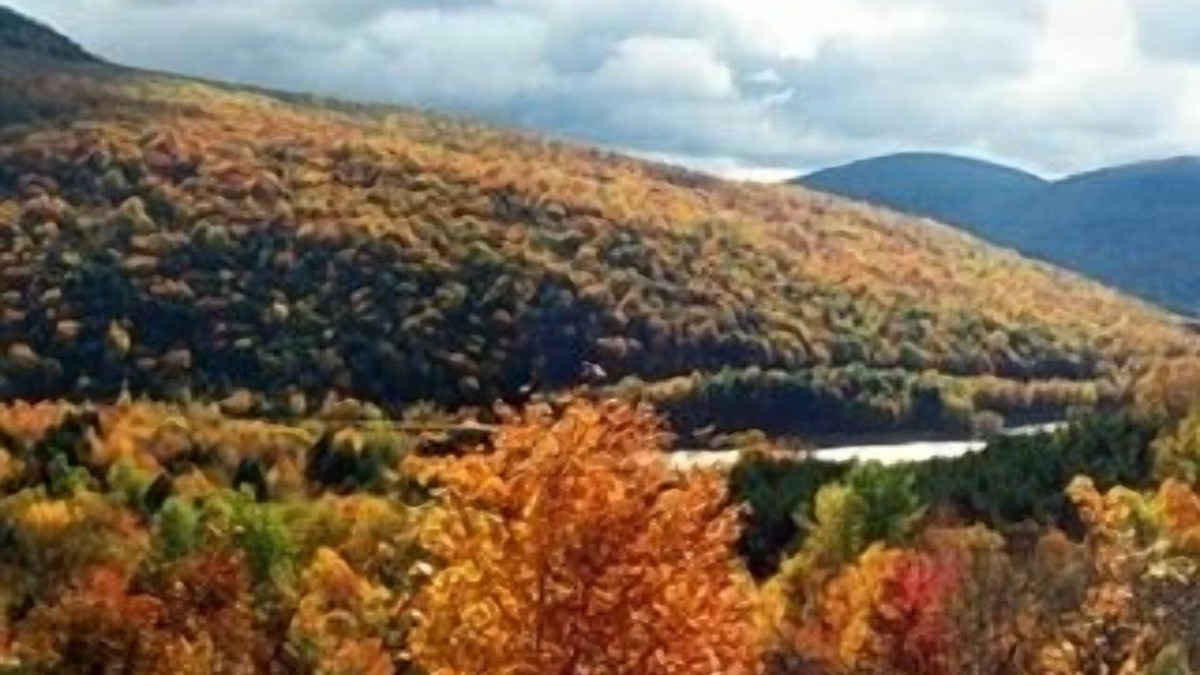 Andes Cabin | Andes Cabin Retreat-Spectacular View Adjoining ~NYC~ Reservoir, short/long term