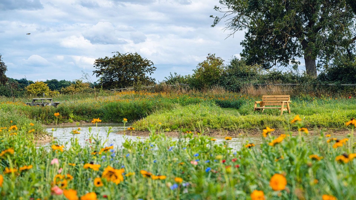 Arnold Cottage | Andrus - Mayflower Meadow