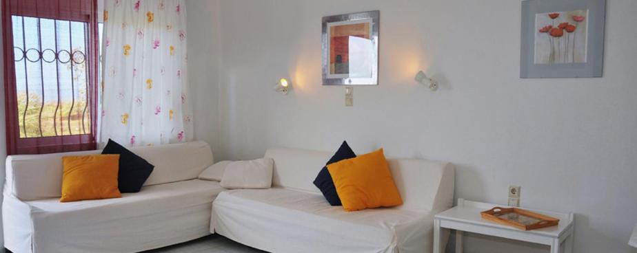 Pyrgos Psilonerou Apartment | Andys-Gardens Villas