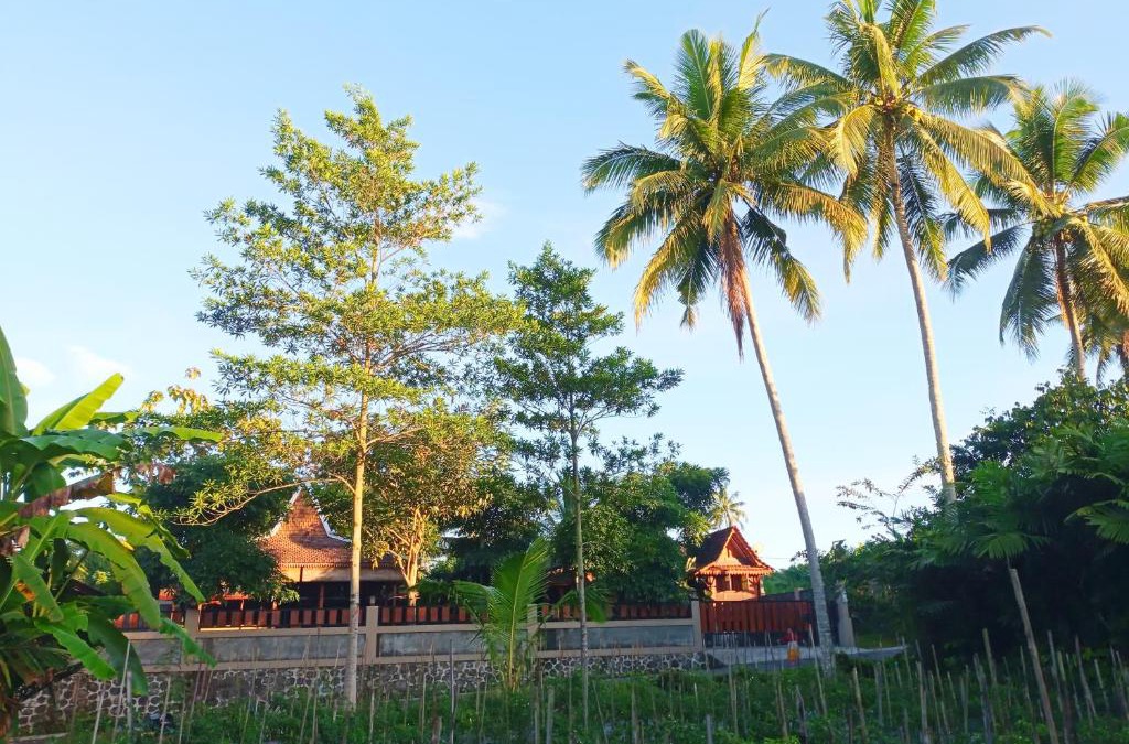 Pakem House | Angler Homestay & Joglo