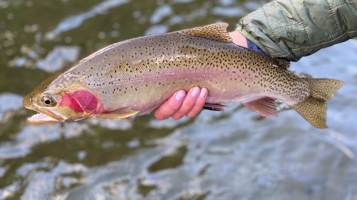 Cascade House | Angler's Paradise! Newly remodeled pet-friendly, riverfront home.