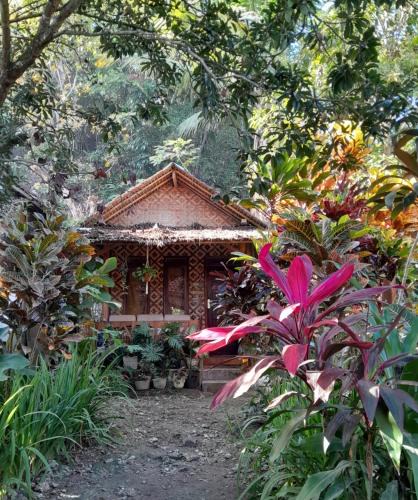 Katukaras House | anik homestay & dormy Batukaras