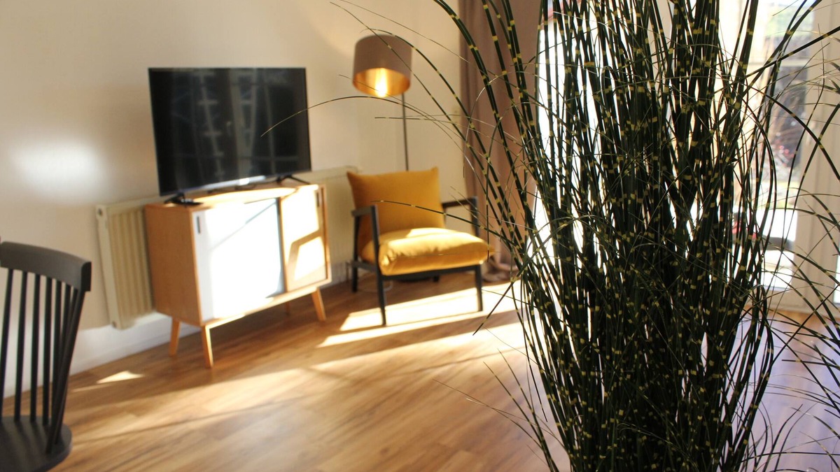Buchenberg Apartment | Animal house | parking lot | terrace