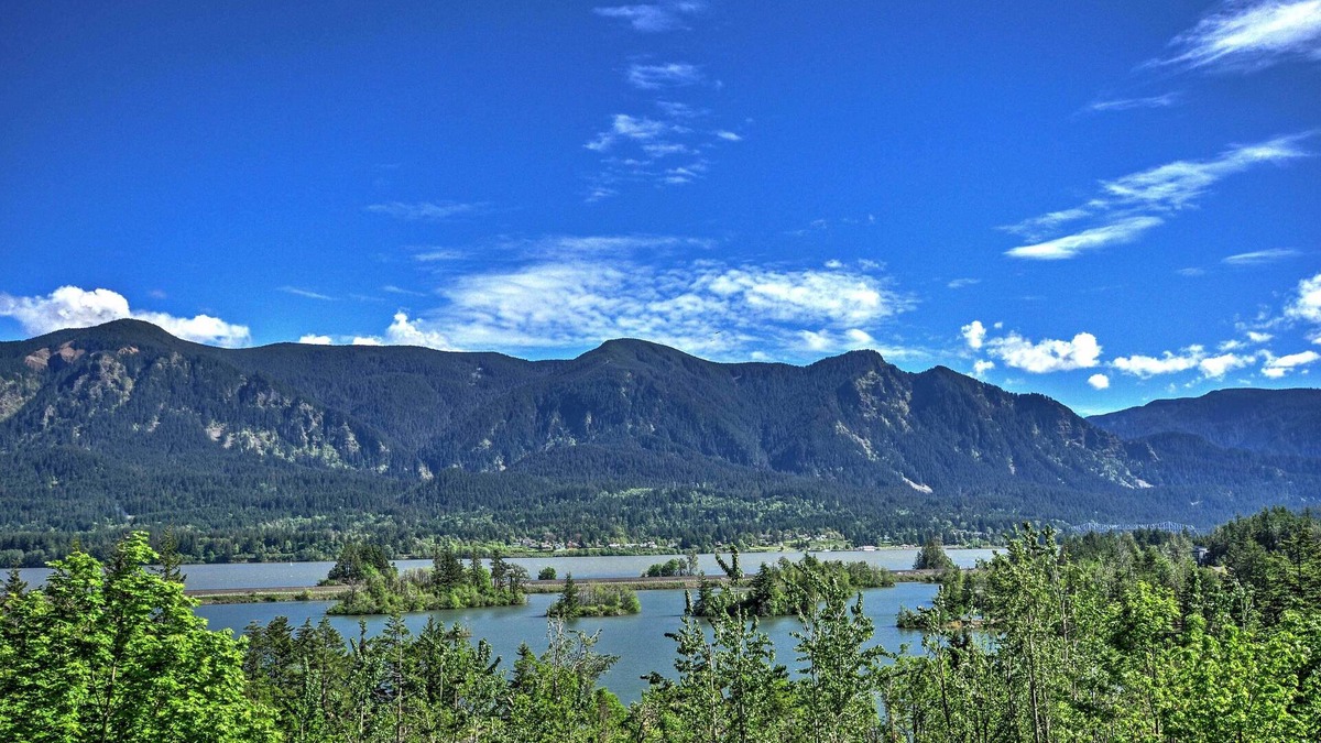 Stevenson Condo | Ann's Aerie Home w/Gorgeous Views & Special Rates!