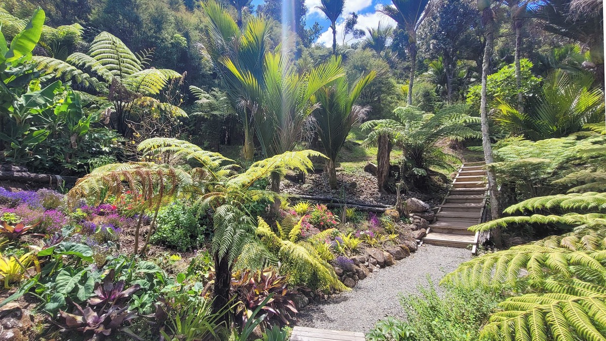 Whitianga Bed & Breakfast | Annabells Bed and Breakfast