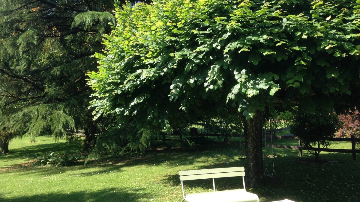 Saint-Jorioz House | ANNECY LAC BEAUTIFUL FAMILY HOME