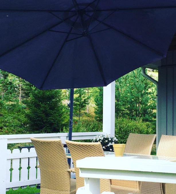 Bolkesjo House | Annes House