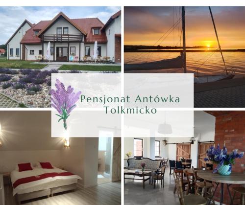 Tolkmicko Bed & Breakfast | Antówka
