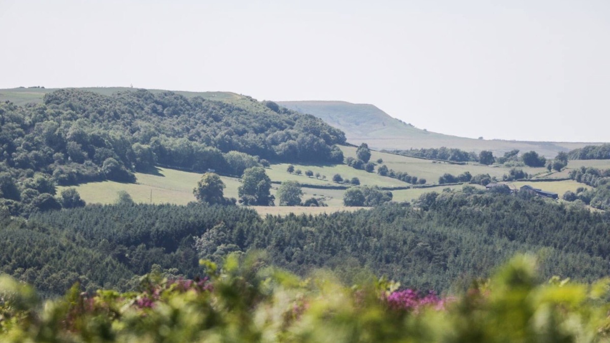 Kirkbymoorside House | ANVIL COTTAGE, pet friendly in Kirkbymoorside