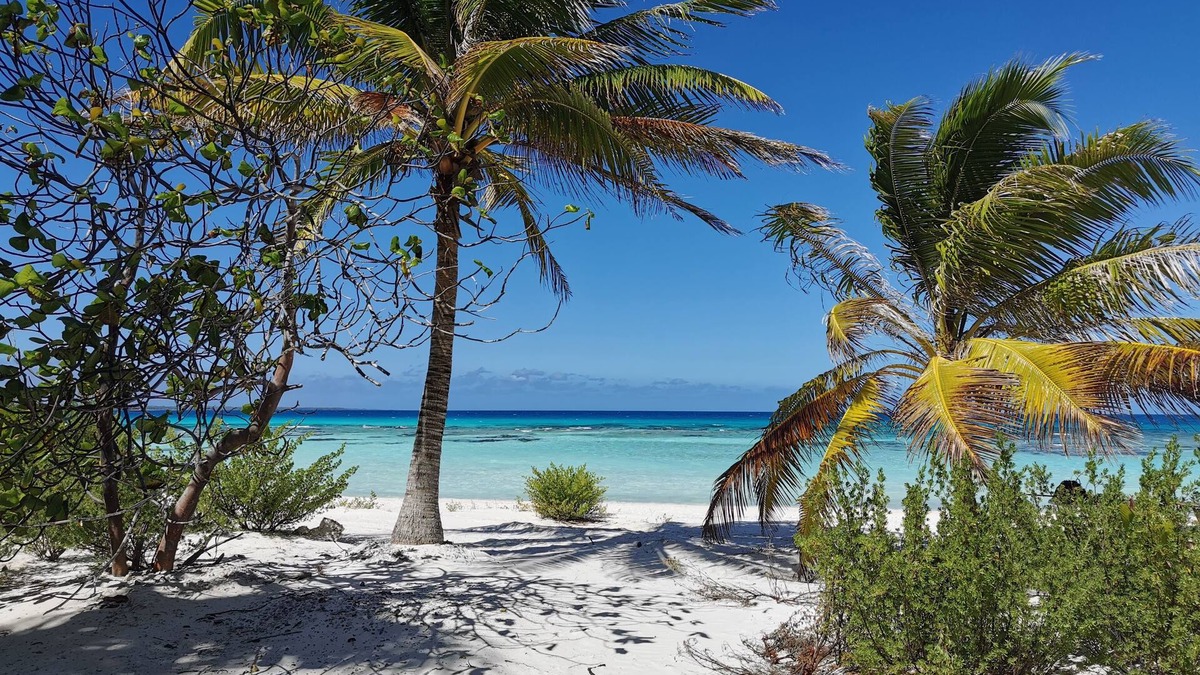 Rangiroa House | Aotera Guest House