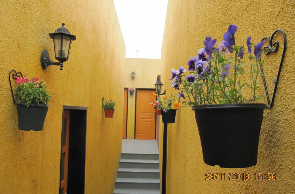 Macrozona Bahia Redonda y Primeros Faldeos Apartment | Apart Casas Del Centro