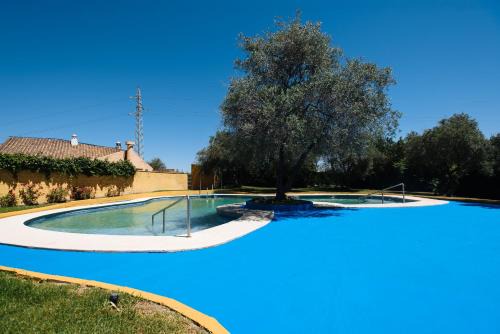 Valencina de la Concepcion Apartment | Apartamento Las Brisas I