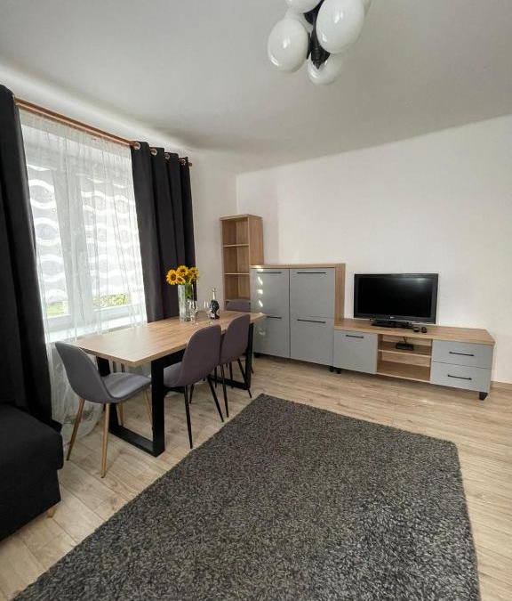 Ostrowiec Swietokrzyski Apartment | Apartament na Piaskach