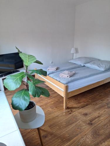 Sandomierz Apartment | Apartament Żółkiewski