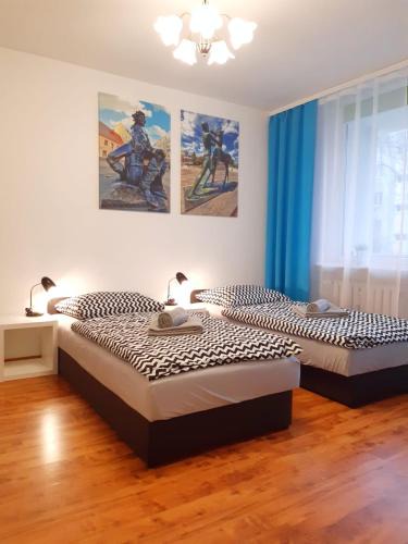 Zielona Gora Apartment | Apartament Bachusik