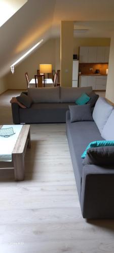 Zarki Apartment | Apartament centrum Jura Żarki