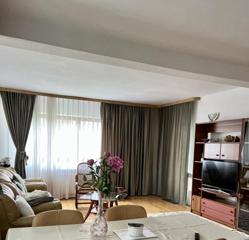 Baile Olanesti Apartment | Apartament Confort - Baile Olanesti