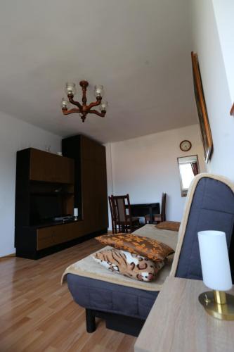 Sosnowiec Apartment | apartament DaDa