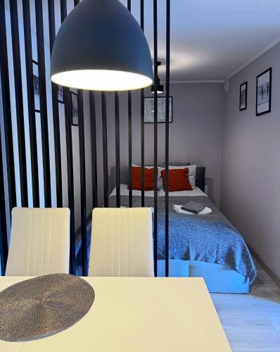 Boguszow-Gorce Apartment | Apartament Dzikowiec