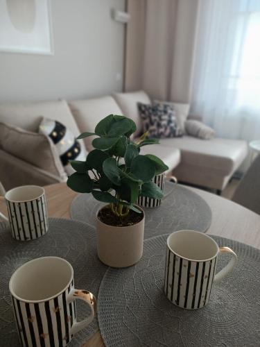 Suwalki Apartment | Apartament Emili VIPOO