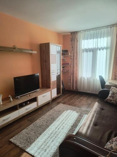 Vulcan Apartment | Apartament Gabriela