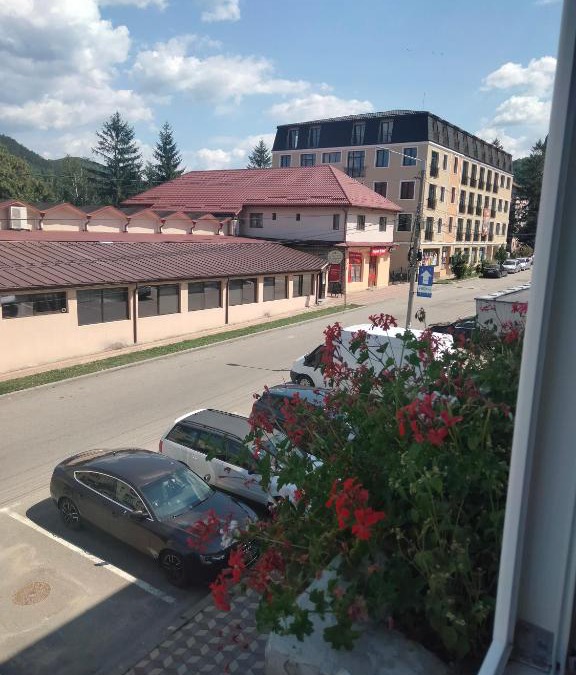 Nehoiu Apartment | Apartament Geo