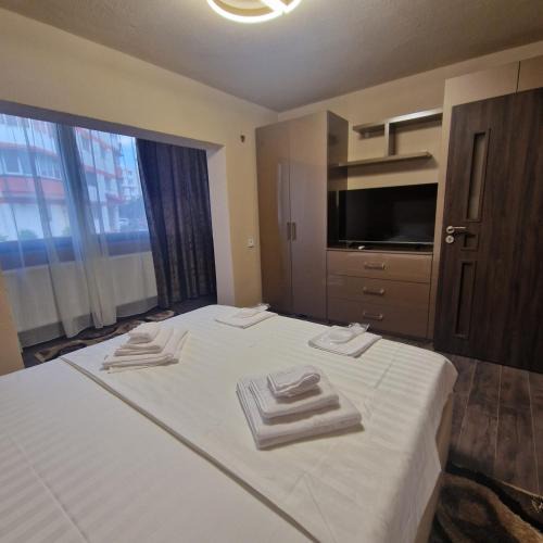 Curtea De Arges Apartment | Apartament Iulius 3 Manastire
