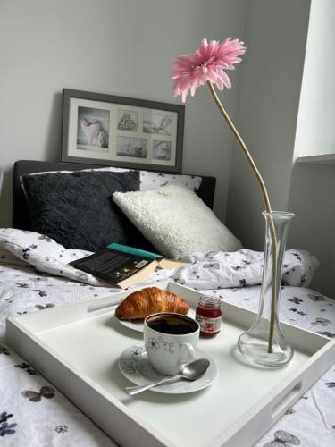 Jedlina-Zdroj Apartment | Apartament Jedlinka