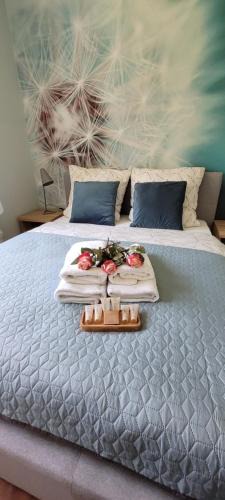Szklarska Poreba Apartment | Apartament Juzo Villa Mountain View