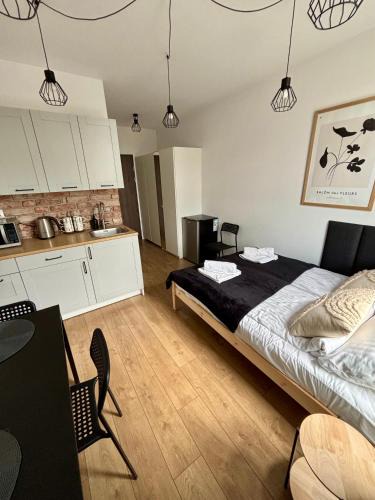 Opole Apartment | Apartament Kamionka Piast
