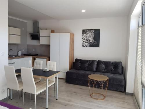 Darlowko Apartment | Apartament Kapitana przy plazy typu studio