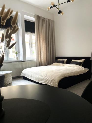 Grudziadz Apartment | Apartament Miedziany Śródmieście