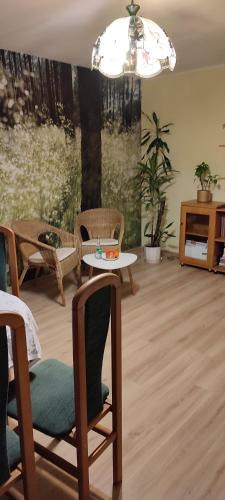 Tarnow Villa | Apartament Multik