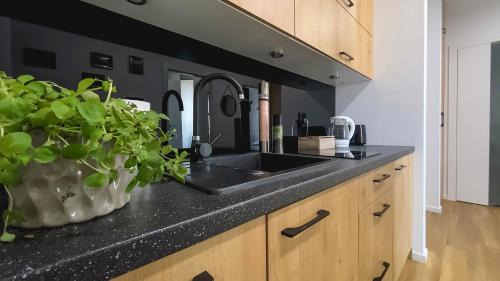 Olsztyn Apartment | Apartament Naturalny-Lake Apartments, osiedle Calamo Park-Olsztyn