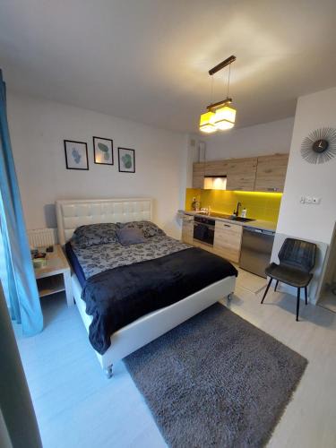 Rzeszow Apartment | Apartament Olif