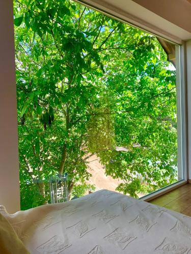 Piecki Apartment | Apartament orzechowy superior