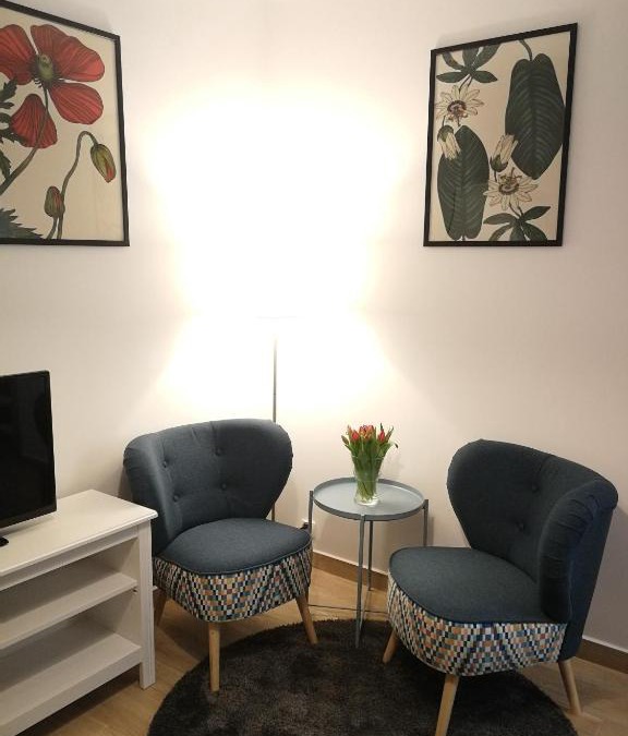 Duszniki Zdroj Apartment | Apartament Parkowy