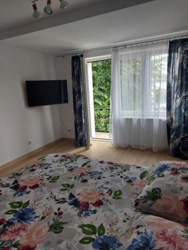 Ostrzyce Apartment | Apartament