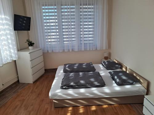 Skarzysko-Kamienna Apartment | apartament