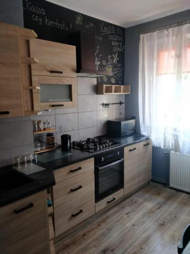 Przemysl Apartment | Apartament Przemyślany
