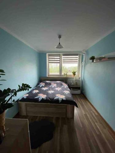 Katowice Apartment | Apartament przy Parku Śląskim