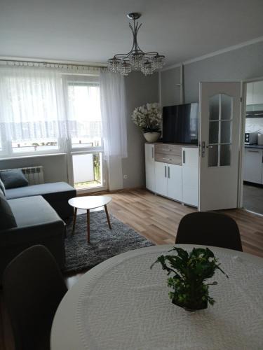 Elblag Apartment | Apartament przy parku