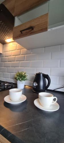 Walbrzych Apartment | Apartament Retro