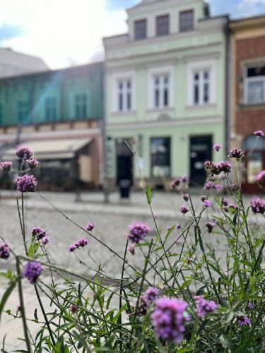 Krosno Apartment | Apartament Rynek 17