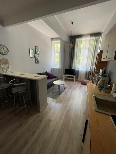 Jedlina-Zdroj Apartment | Apartament Snooze