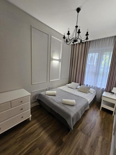 Niemce Apartment | Apartament , Studio '