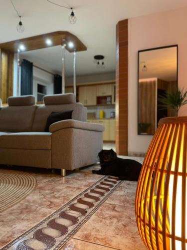 Chojnice Apartment | Apartament Torowa 12