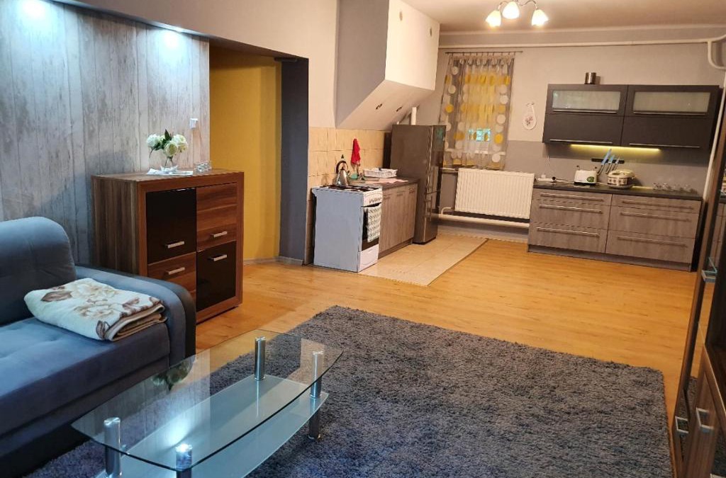 Mierzecice Apartment | Apartament u Ani