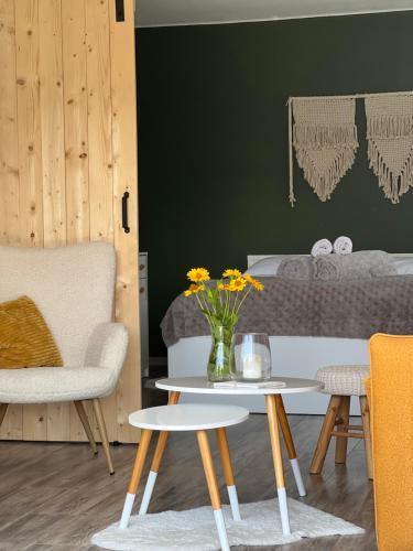 Tylicz Apartment | Apartament u Gogoca II
